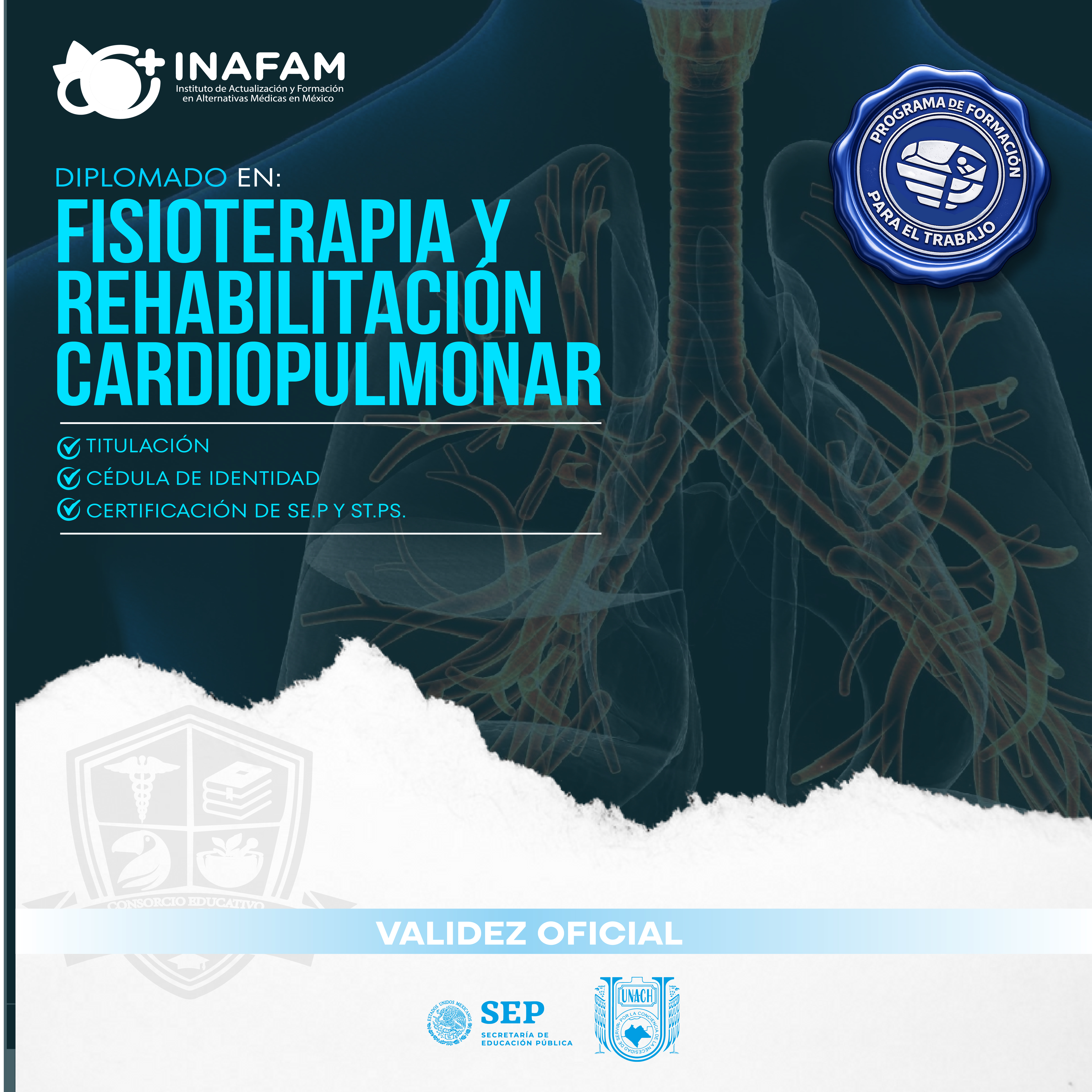 FISIOTERAPIA CARDIOPULMONAR