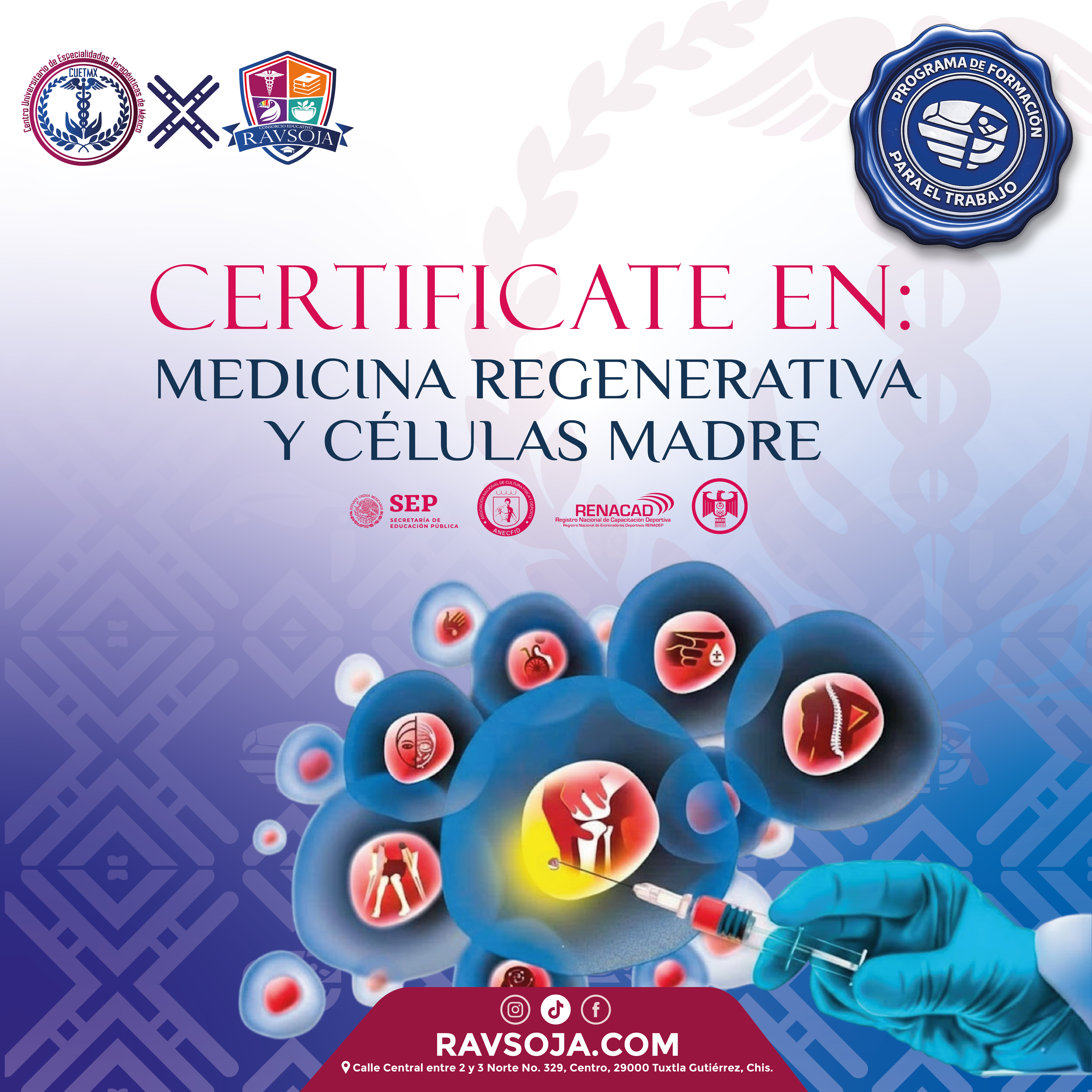 MEDICINA REGENERATIVA