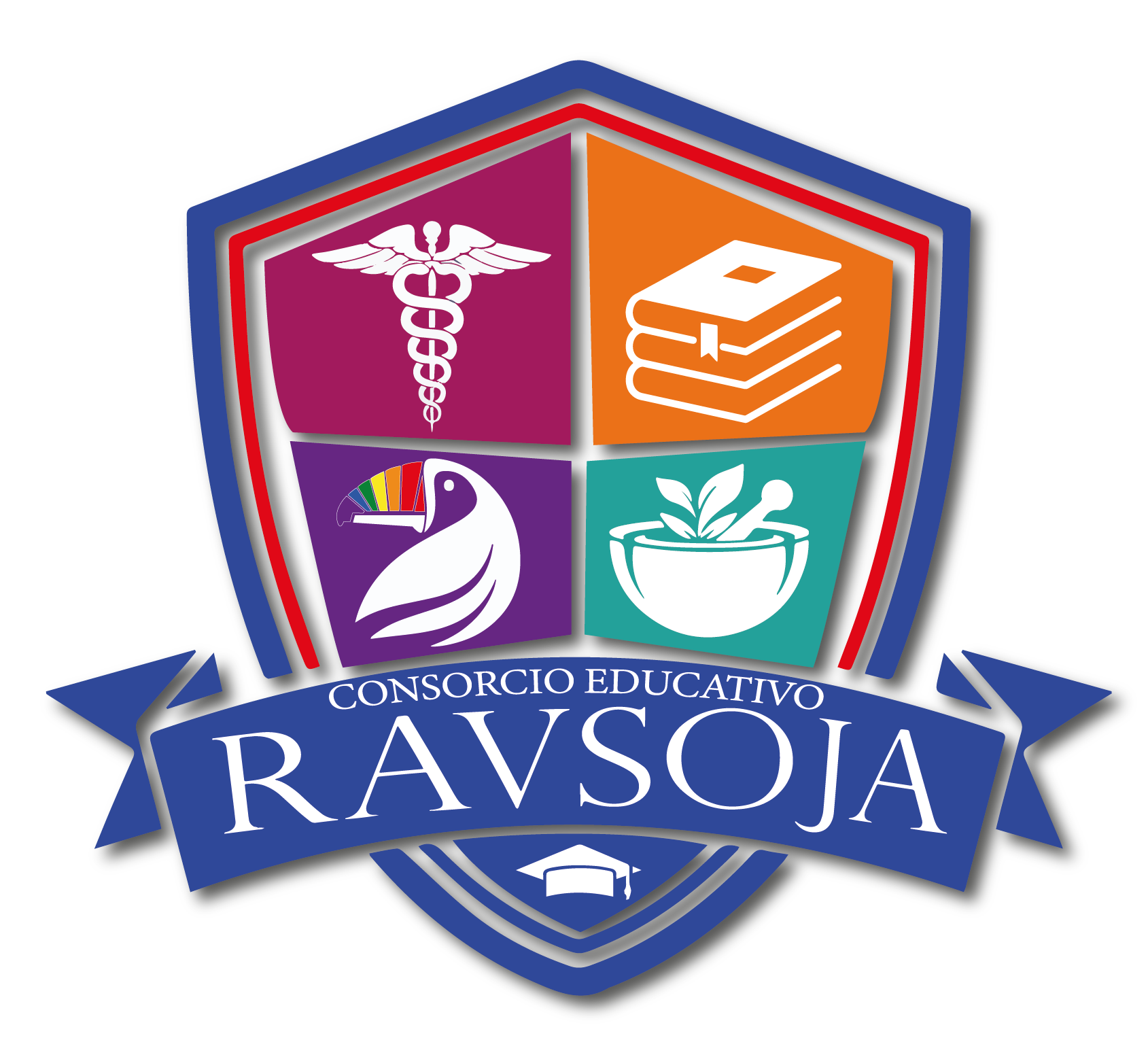 Logo RAVSOJA